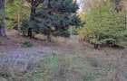 Intravilan,Harghita Baile Chirui ,22 km de Miercurea Ciuc, teren 2000 mp .acces apa si curent