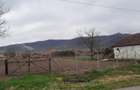 Teren intravilan Galsa,Arad - 3