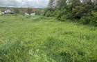 Teren Colonia Valea Fanatelor - 2
