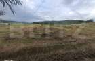 Teren 3.600 mp, ideal pentru livada, cabana sau investitie in Podu Olt - 4
