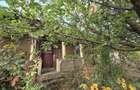 Casa batraneasca jud. Giurgiu, comuna Gogo?ari, sat Izvoru - teren intravilan 700 mp