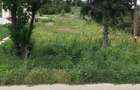 Teren intravilan de vanzare Leamna - 6