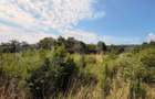 Teren intravilan, 3600 mp, in Bogdanesti, zona Profi - 10