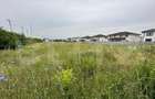 Teren intravilan, 7441mp, zona Lidl Cetate - 1