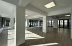 Spatiu Comercial Complet Renovat Elena Doamna - 1