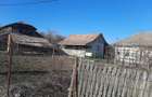 Gospodarie de vanzare in Lapusata Valcea - 4