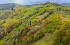 Teren agricol intravilan de 11342 mp, în Poiana Mărului - 1