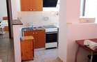 Apartament cu 2 camere decomandat în Bucureștii Noi - 10