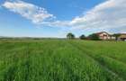 Teren rezidential Bod-Brasov zona de case - 2