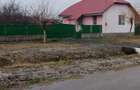 Casă cu 2 camere cu Teren 1439 Mp în Cruceni - 8