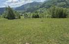 Teren de 3000 mp, în Ponor - 5