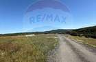 Teren agricol de 3757 mp, în Păltinoasa - 11