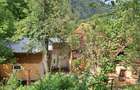 Casa si teren de vanzare - 6