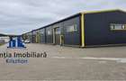 Hala industriala de inchiriat - Zona Aurel Vlaicu - 5