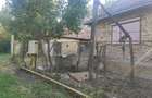 Casa cu teren intravilan de vanzare, loc. Mahaceni, Unirea, jud. Alba - 2