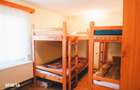 Casa de vacanta cu teren de 802 mp, Boita - Lotrioara, Sibiu - 4