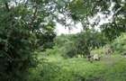 Casa si teren Costinesti, Botosani, ID: R2728052 - 10