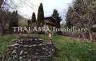 Proprietate de vacanta Valea Oltului - BREZOI - 9