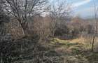 Teren Construcții de 1746 mp, în Seciu - 8