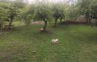 Teren intravilan de vanzare, zona Sun Garden - 2