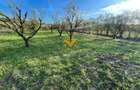 Teren agricol de 5500 mp, în Sopor - 3