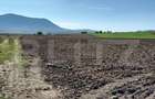 Teren extravilan de 15000 mp, în Central - 4