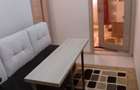De inchiriat apartament cu 1 camera 240 euro - 5