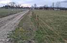 Teren de 600 mp, în Ocna Șugatag - 5