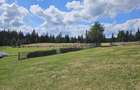 Teren de vanzare 15 hectare in Bucovina Moldova Sulita zona Lucina - 6