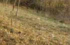 Teren intravilan 1600 mp Podu Cheii, 4 km de Baraj Paltinu
