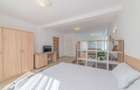 Apartament de închiriat, 1 cameră, 40 mp, Zorilor zona UTCN - 3