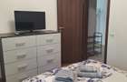 Apartament cu 2 camere decomandat în Universitate - 10
