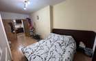 Apartament cu 2 camere semidecomandat în Andronache - 8