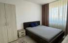 Apartament cu 2 camere decomandat în Roșu - 5