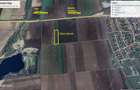 Teren agricol extravilan de 7000 mp, în Exterior Vest - 2