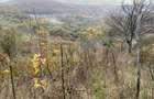 Teren extravilan suparfata 787 mp in zona Bradet - 3