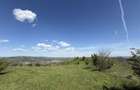11,7 hectare de teren extravilan+intravilan, Urlati/Valea Calugareasca-Zona: releu/Valea Mieilor - 4