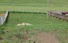 Teren de vanzare in Aghire?u sat - 3