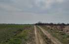 Vanzare Teren intravilan 5000mp Magurele - 1