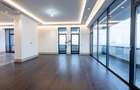 Floreasca Ultra-Lux — Penthouse 345 mp - 3