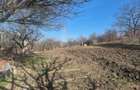 Vind teren intravilan 1550 mp si imobil  32 mp str Al. Vaida Voievod. - 3
