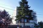 Apartament cu 4 camere decomandat în Bucureștii Noi - 18