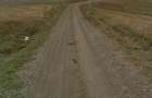 Teren Extravilan - Comuna Copalau, Sat Cerbu - strada Razimei - 2