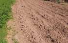Vand loc de casa in Girliste - 1