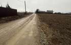 Vand Teren Hemeiusi sat Liliecipe strada prelungirea crinului - 1