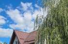 Casă individuală cu 3 camere cu Teren 440 Mp în Provița de Jos - 4