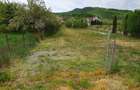 Teren de inchiriat la DN 17 - 3