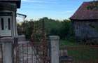 Casa cu gradina si pomi fructiferi - teren 2401 mp - loc. Moldovenesti - 5