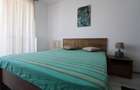 Apartament cu 2 camere semidecomandat în Torontalului - 11