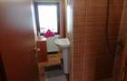 Apartament cu 2 camere decomandat în Delfinariu - 19